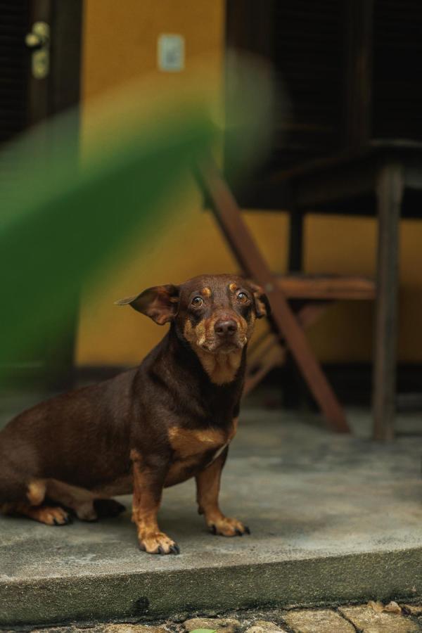 Pousada Pouso da Maré Velha Boipeba Exterior foto
